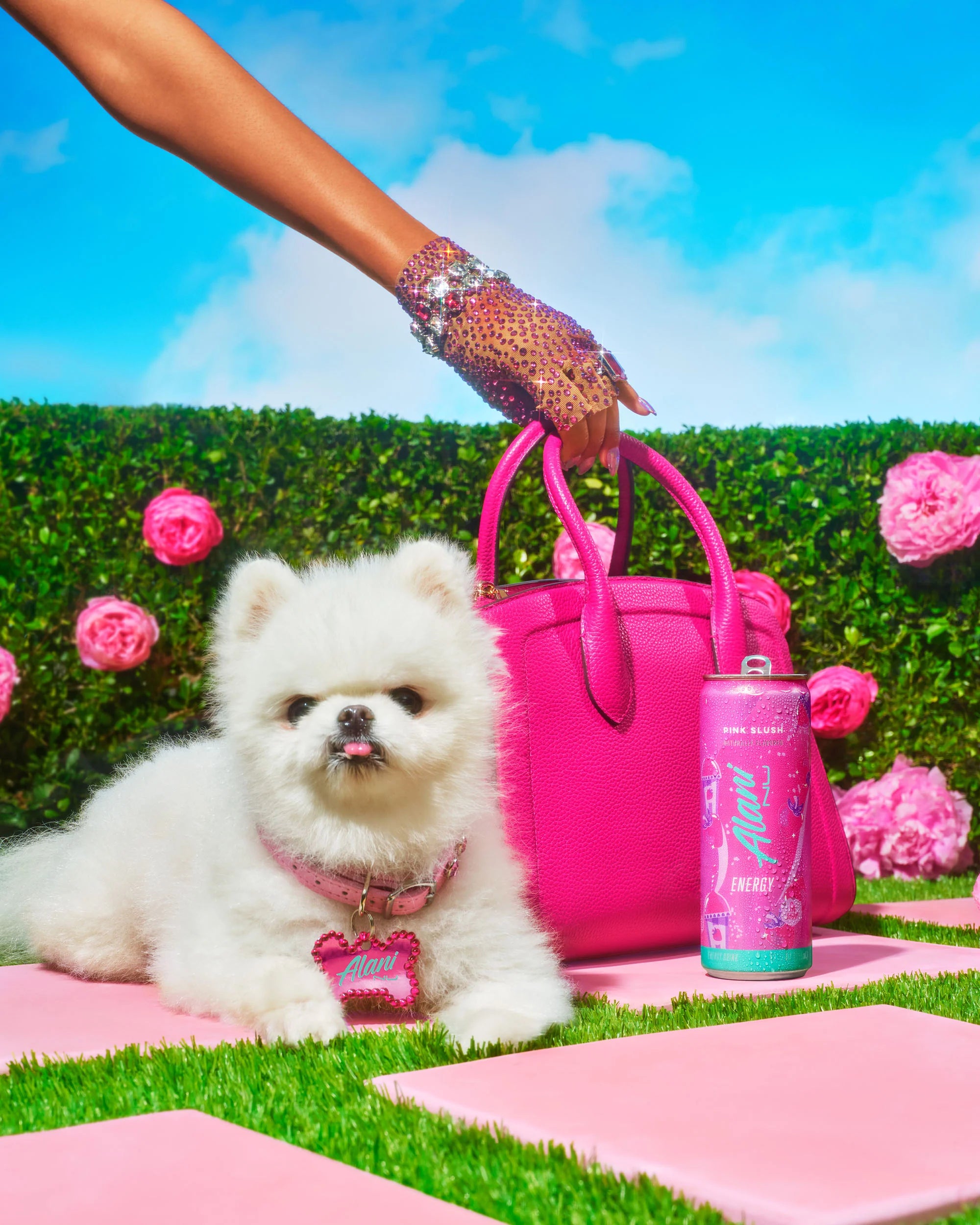 Alani Nu Featured Energy Drink - Pink Slush - Image 2